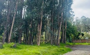 Se vende casa en Cuenca, Ecuador, Parroquia Machangara.