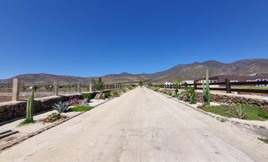 Parcela 5.000 M², Reserva Ripamonti, Pan De Azúcar, Coquimbo