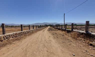 Parcela 5.000 M², Reserva Ripamonti, Pan De Azúcar, Coquimbo