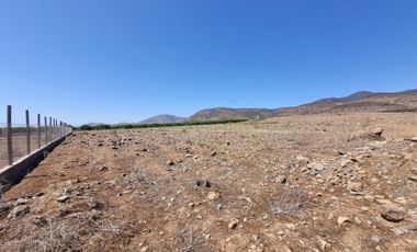 Parcela 5.000 M², Reserva Ripamonti, Pan De Azúcar, Coquimbo