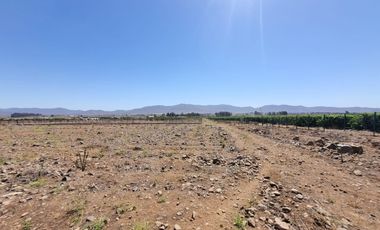 Parcela 5.000 M², Reserva Ripamonti, Pan De Azúcar, Coquimbo
