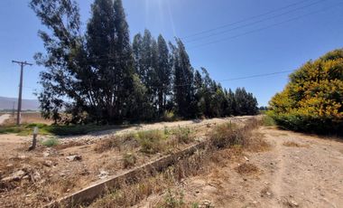 Parcela 5.000 M², Reserva Ripamonti, Pan De Azúcar, Coquimbo