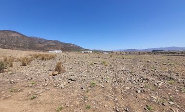 Parcela 5.000 M², Reserva Ripamonti, Pan De Azúcar, Coquimbo