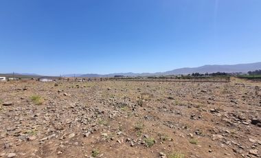 Parcela 5.000 M², Reserva Ripamonti, Pan De Azúcar, Coquimbo