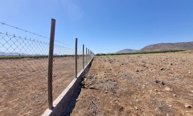 Parcela 5.000 M², Reserva Ripamonti, Pan De Azúcar, Coquimbo