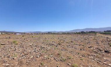 Parcela 5.000 M², Reserva Ripamonti, Pan De Azúcar, Coquimbo