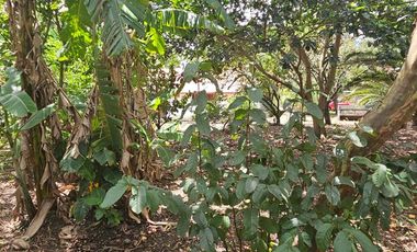 HERMOSA CASA DE CAMPO EN CATAMAYO