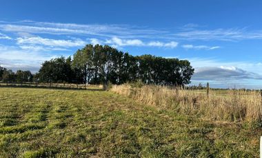 PARCELA SECTOR LAS QUEMAS