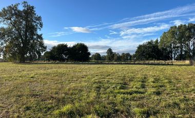 PARCELA SECTOR LAS QUEMAS