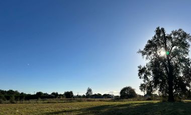 PARCELA SECTOR LAS QUEMAS