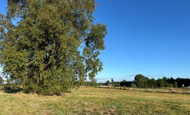 PARCELA SECTOR LAS QUEMAS