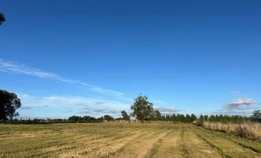 PARCELA SECTOR LAS QUEMAS