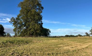 PARCELA SECTOR LAS QUEMAS