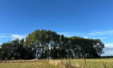 PARCELA EN VENTA SECTOR LAS QUEMAS