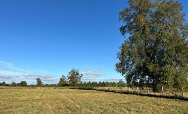 PARCELA EN VENTA SECTOR LAS QUEMAS