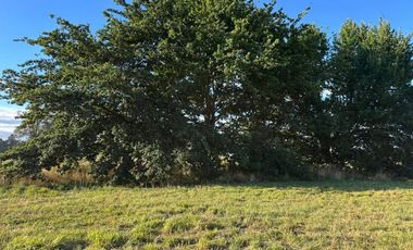 PARCELA EN VENTA SECTOR LAS QUEMAS