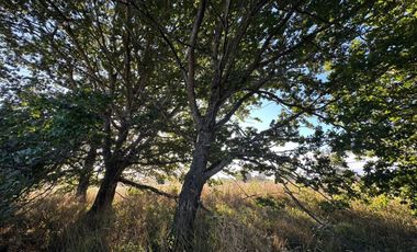 PARCELA EN VENTA SECTOR LAS QUEMAS