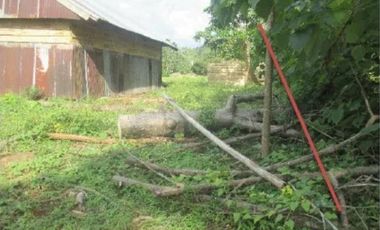 Dijual Tanah Depan Jalan Raya Harga Murah Lokasi Strategis Gowa Makassar, Luas Tanah 31,250 m2