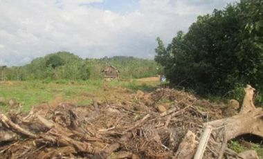 Dijual Tanah Depan Jalan Raya Harga Murah Lokasi Strategis Gowa Makassar, Luas Tanah 31,250 m2