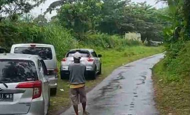 kebun durian alpukat dan petay murah