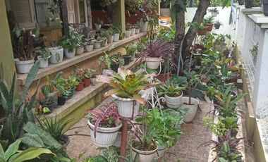 Jual Rumah Kemang Pratama 1 Full Furnished Dekat Tempat Ibadah, Sekolah, Perbelanjaan, Rumah Sakit & Tol