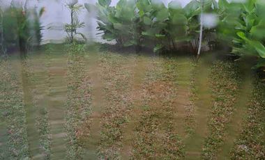 Disewakan Rumah 65/210 Full Furnished dekat Paramount School Sukatani Palembang