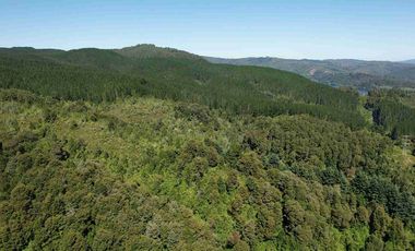 Parcela en Santa Elvira oportunidad