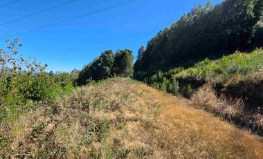 Parcela en Santa Elvira oportunidad