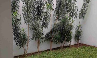 Disewakan Rumah Bagus 2 Lantai di Nusantara Regency Ciganitri