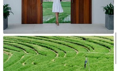 Villa Baru Mewah 6 Kamar Tidur Dijual, di Pererenan, Badung Area