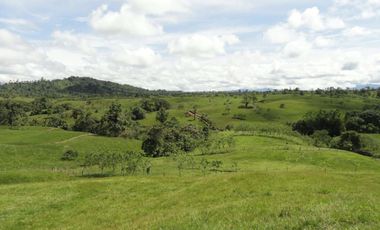 Venta de terrenos urbanizados en el cantón Pedro Vicente Maldonado Ecuador