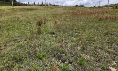 Terreno en venta en el sector El Plateado en LLatcón son 464metros cuadrado