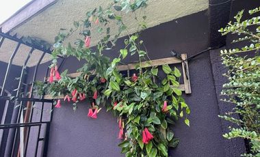 Vende hermosa casa, sector Terraza de Angelmo, Puerto Montt.