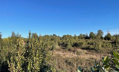 Venta hermosa parcela, sector Alto Bonito, Puerto Montt