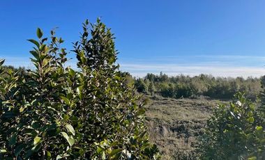 Venta hermosa parcela, sector Alto Bonito, Puerto Montt