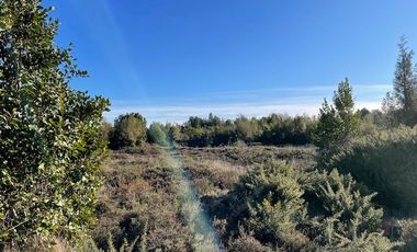 Venta hermosa parcela, sector Alto Bonito, Puerto Montt