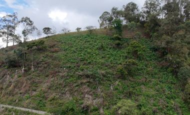 FINCA EN VENTA CON LAGO PRIVADO E ISLA EN SAN ANTONIO DEL TEQUENDAMA 10.690 M2 VEREDA CHICAQUE