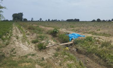 VENTA DE TERRENO EN CHINCHA CON 29 LOTES INDEPENDIZADOS