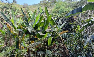 VENDO PARCELA EN ARATOCA VEREDA SAN ANTONIO 4 HECTAREAS Y MEDIA