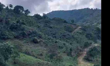 VENDO PARCELA EN ARATOCA VEREDA SAN ANTONIO 4 HECTAREAS Y MEDIA