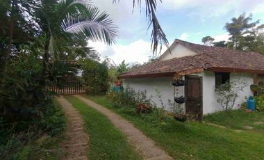 VENDO PARCELA EN ARATOCA VEREDA SAN ANTONIO 4 HECTAREAS Y MEDIA