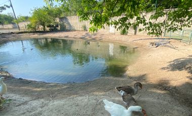 VENDO CASA POBLADO CAMPESTRE SANTO TOMAS