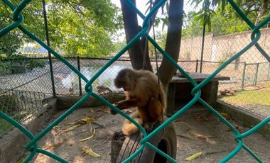 VENDO CASA POBLADO CAMPESTRE SANTO TOMAS