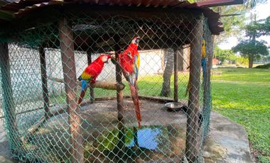 VENDO CASA POBLADO CAMPESTRE SANTO TOMAS