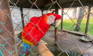 VENDO CASA POBLADO CAMPESTRE SANTO TOMAS