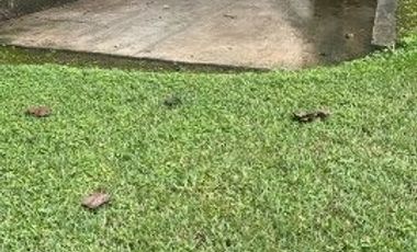 QUINTA ESTILO RUSTICO EXCELENTE UBICACION CENTRO BARRIAL