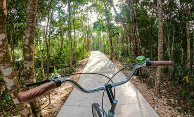 Casa de Lujo en Venta  5 Recámaras  Alberca Privada, Ciudad de Mayakoba