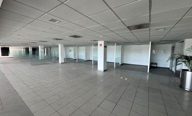 SE RENTA MAGNIFICO EDIFICIO, CON  BODEGA CON PUNTO DE VENTA EN AVE PRINCIPAL