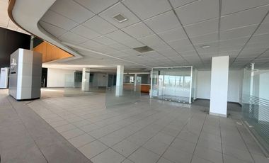SE RENTA MAGNIFICO EDIFICIO, CON  BODEGA CON PUNTO DE VENTA EN AVE PRINCIPAL