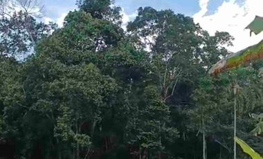 🔥 Frente a Laguna Azul: terreno estratégico en Sauce para proyecto turístico